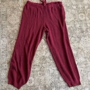 Aerie Women's Burgundy Knit Joggers